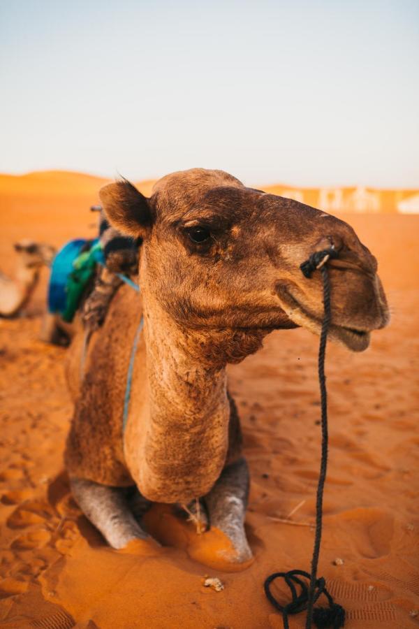 Sanmao Desert Luxury Camp Merzouga Esterno foto